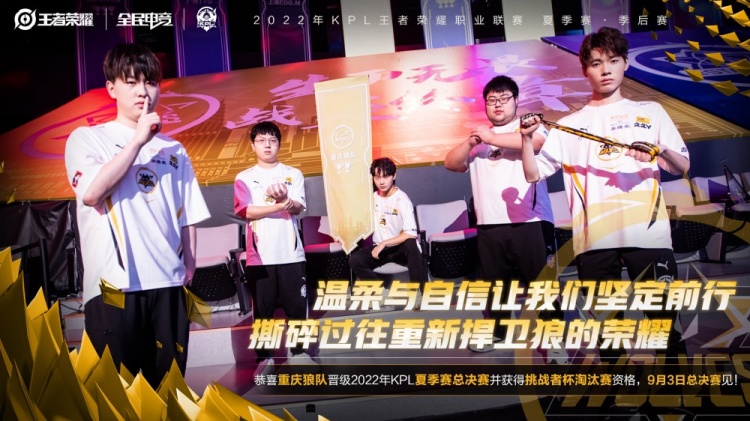 向变换效率